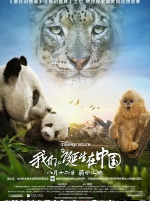 热播剧1